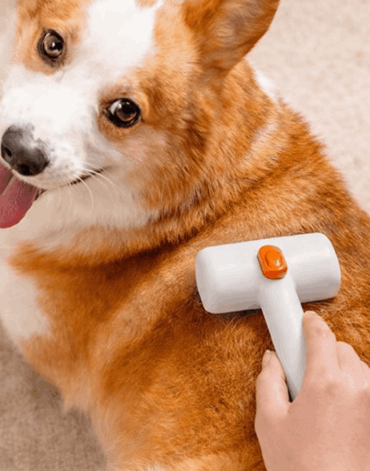 Petlori best product for Pets