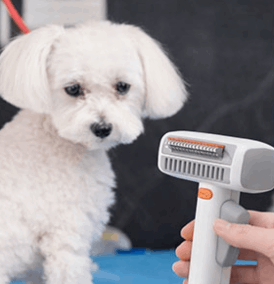 Petlori SilkyFur Pro is best for puppies